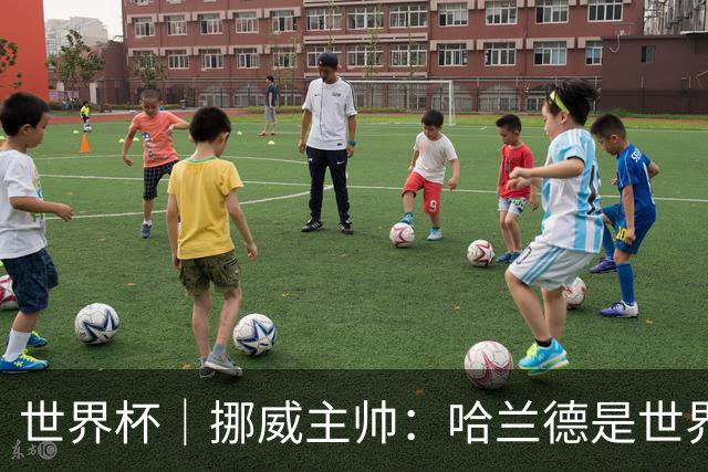 世界杯｜挪威主帅：哈兰德是世界上最好的射手