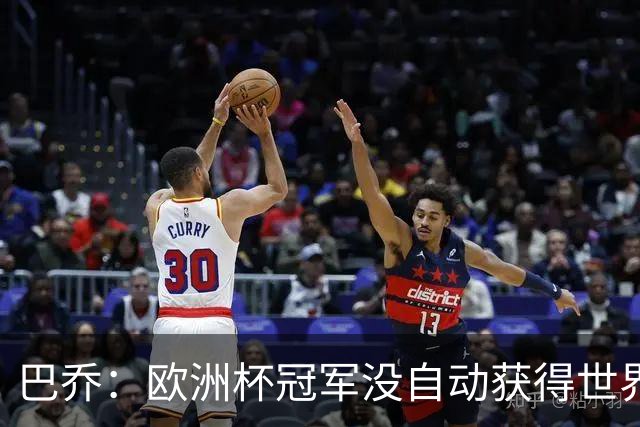 巴乔：欧洲杯冠军没自动获得世界杯资格 这是耻辱